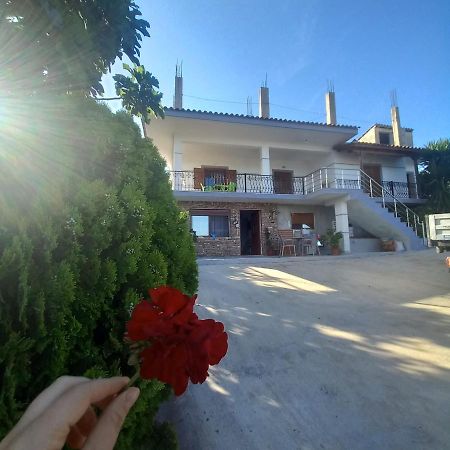 Vila Pasha Sarande Exterior photo